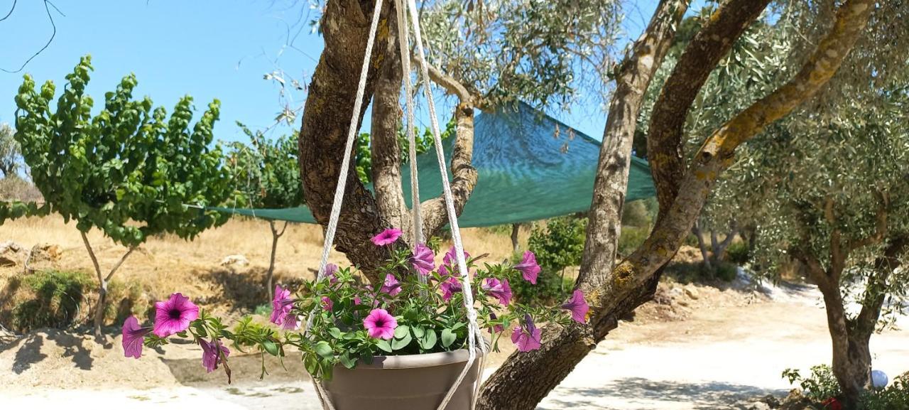 Lily Home_Lefkada ~ Private Country House Kondaraíni Exterior foto